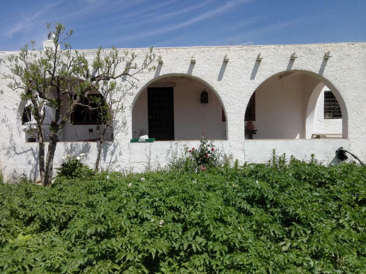 El Cortijo De La Abuela Guest House Benahadux Ngoại thất bức ảnh