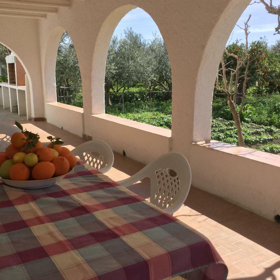 El Cortijo De La Abuela Guest House Benahadux Ngoại thất bức ảnh