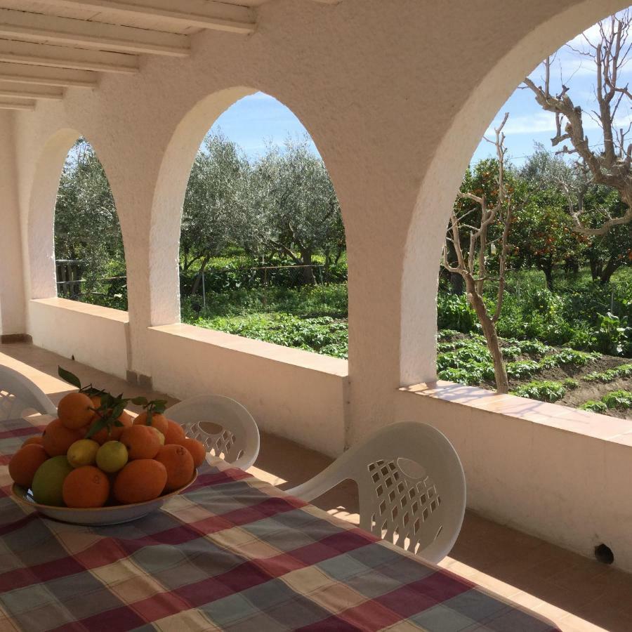El Cortijo De La Abuela Guest House Benahadux Ngoại thất bức ảnh